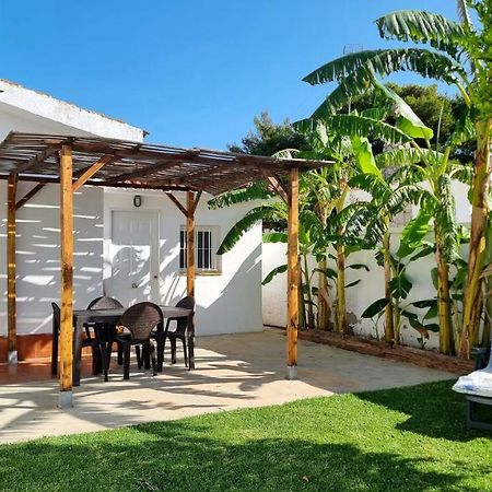 Apartamento Privado Con Jardin, Piscina Elevada Y Bbq Chiclana de la Frontera Exteriör bild