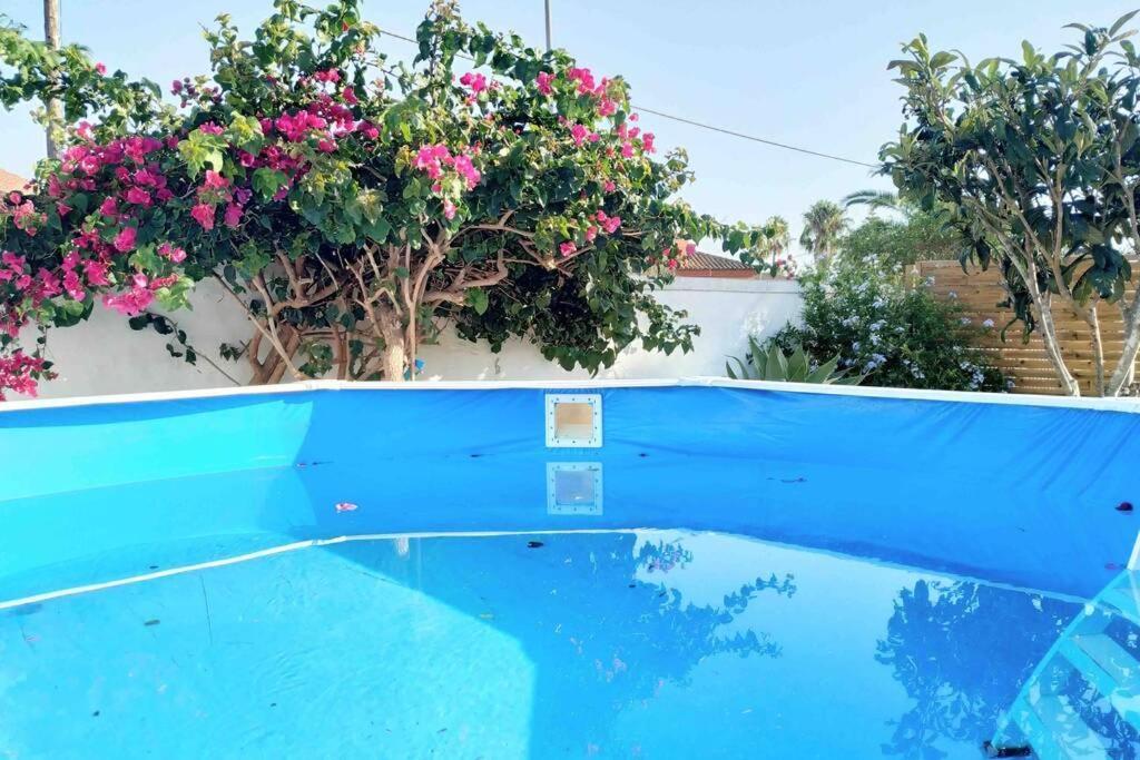 Apartamento Privado Con Jardin, Piscina Elevada Y Bbq Chiclana de la Frontera Exteriör bild